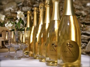 22_passion_casanova_muscat_petillant